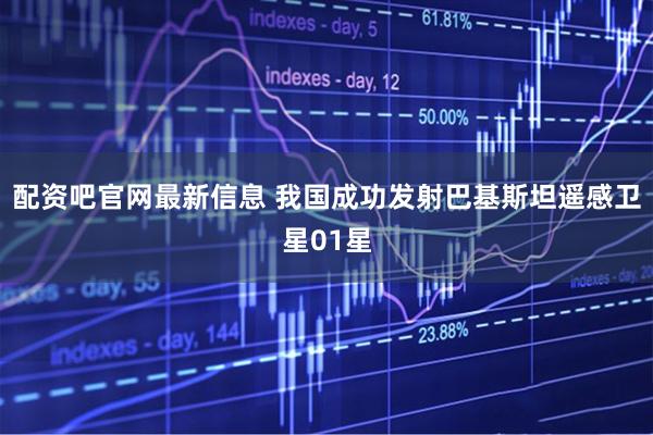配资吧官网最新信息 我国成功发射巴基斯坦遥感卫星01星