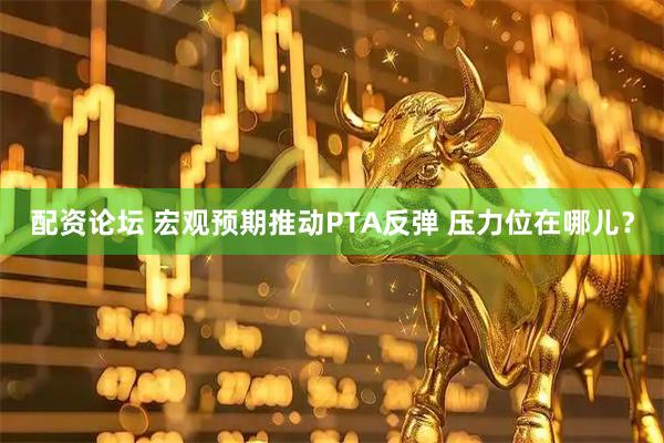 配资论坛 宏观预期推动PTA反弹 压力位在哪儿？